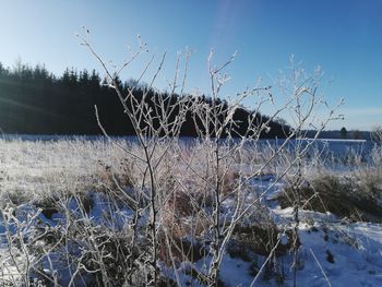 Scenic view of frozen field against sky