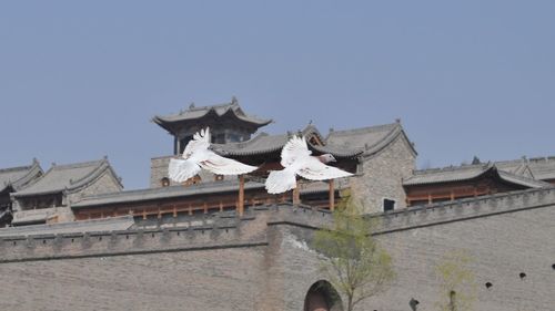 Low angle view of building against clear sky