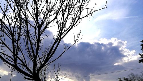 Low angle view of bare tree against sky