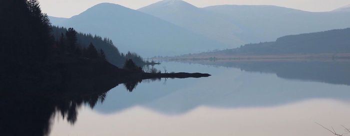 Reflection of trees in lake