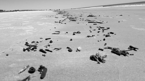 Garbage at beach against clear sky