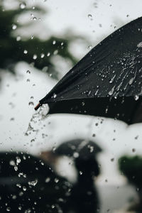 Close-up of black umbrella during rainfall