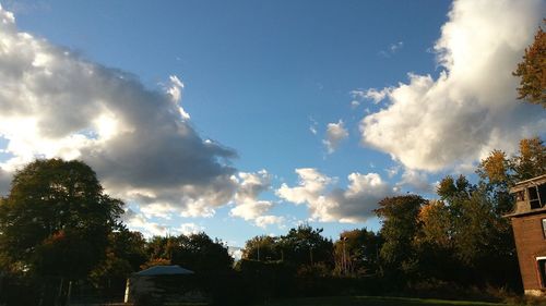 Low angle view of trees against sky