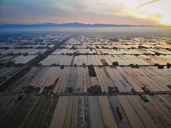 Aerial sunrise view over paddy field