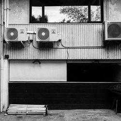 Close-up of horse on brick wall
