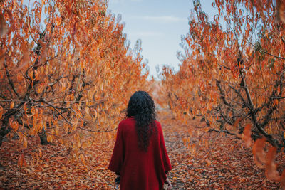 Rear view of woman standing in forest during autumn