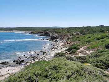 Scenic view of sea against clear sky