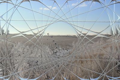 Close-up of bare tree in desert against sky