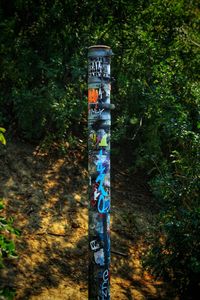 Information sign by trees in forest