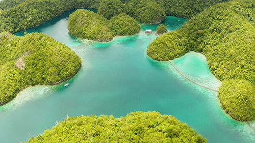 Aerial view of sugba lagoon. beautiful landscape with blue sea lagoon, national park, siargao island