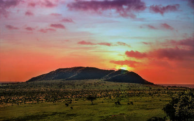 Scenic view of field against cloudy sky during sunset