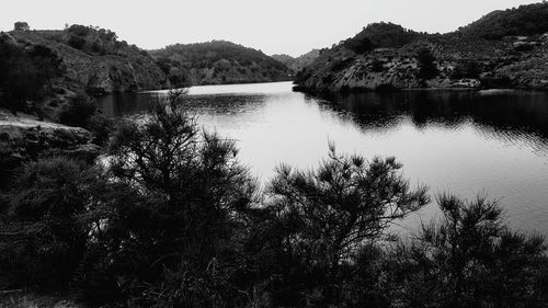 Scenic view of lake in forest against clear sky