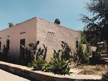 Plants by old building against sky