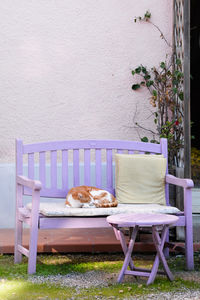 Chairs and table on chair