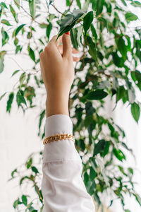 Close-up of woman hand with white leaves