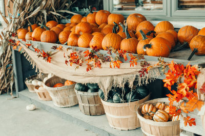 Thanksgiving and halloween holiday preparations. colorful pumpkins in baskets by store on farm. 