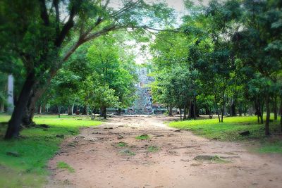 View of trees on landscape