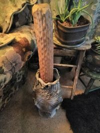 High angle view of potted plants on field