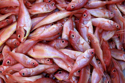 Full frame shot of fish for sale in market