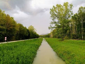 Road amidst trees on field against sky