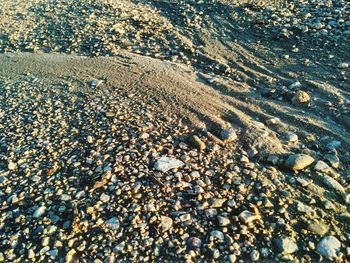 Pebbles on sand