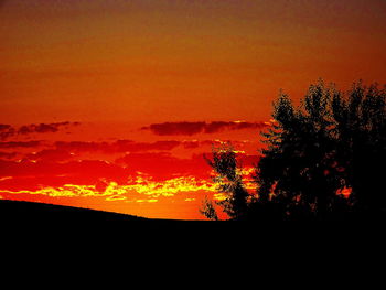 Silhouette trees on landscape against orange sky