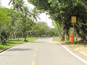 Empty road along trees