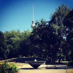 Low angle view of trees against blue sky