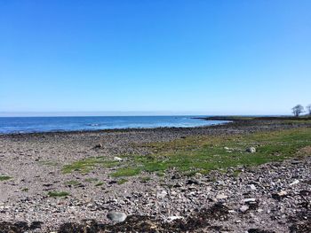 Scenic view of sea against clear blue sky