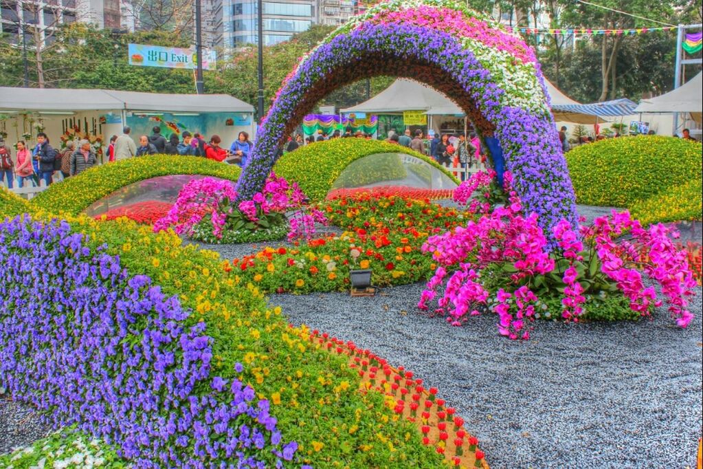 flower, freshness, fragility, growth, plant, beauty in nature, purple, pink color, petal, blooming, nature, in bloom, built structure, formal garden, park - man made space, multi colored, architecture, blossom, day, outdoors