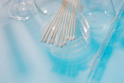 High angle view of cotton swabs on petri dishes in laboratory