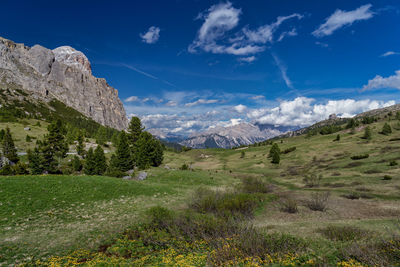 Scenic view of landscape against sky