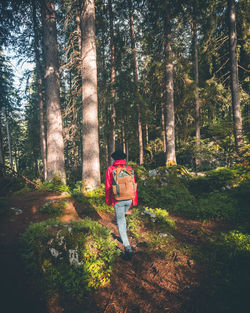 Rear view of man standing by trees in forest