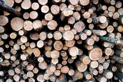 Full frame shot of logs