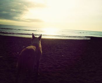 sea