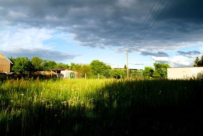 Scenic view of field against cloudy sky