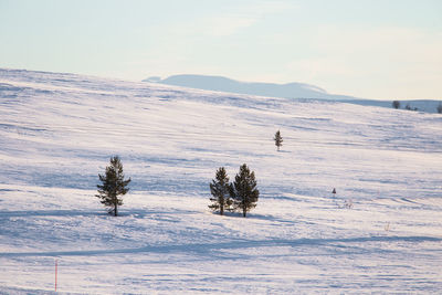 Scenic view of snow covered field against sky