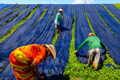 People drying blue fabrics on grassy field against blue sky during sunny day