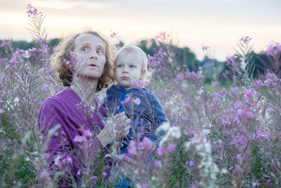 Low angle view of purple flowering plants on field