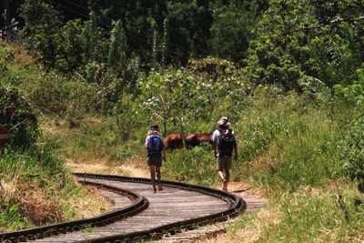 Rear view of people hiking on railroad tracks through forest with horses