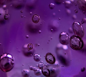 Close-up of water drops on pink raindrops