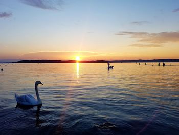Scenic view of sunset