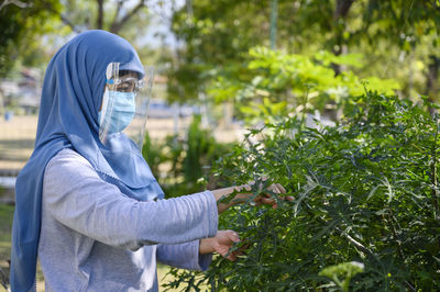 A hijab woman is wearing masker and face shield while harvesting her plant in covid 19 pandemic