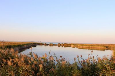 Scenic view of lake against clear sky