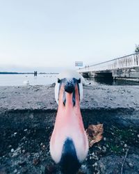 Person in sea against clear sky