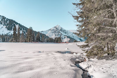 Walking around lake mines d'or.