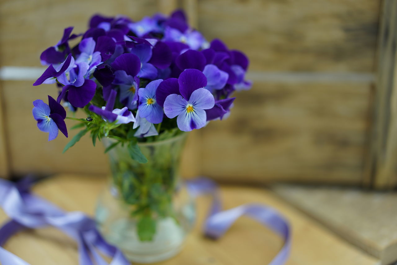 CLOSE-UP OF PURPLE FLOWERS IN VASE