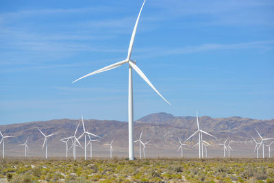 Windmills in california