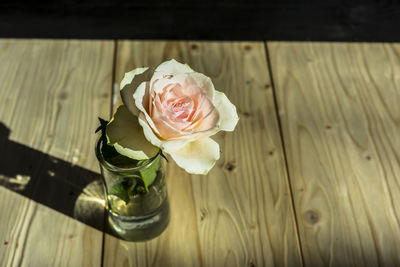 High angle view of rose in vase on table