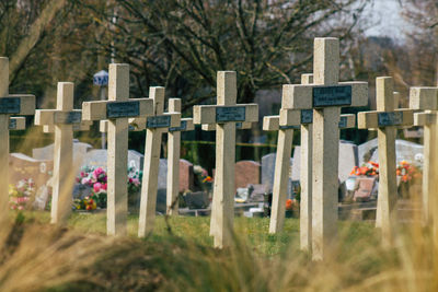 View of cemetery against trees